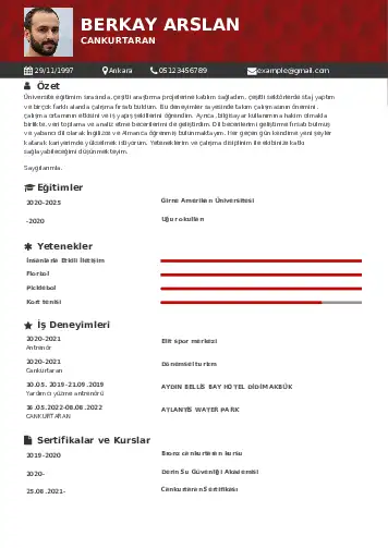 cv indir